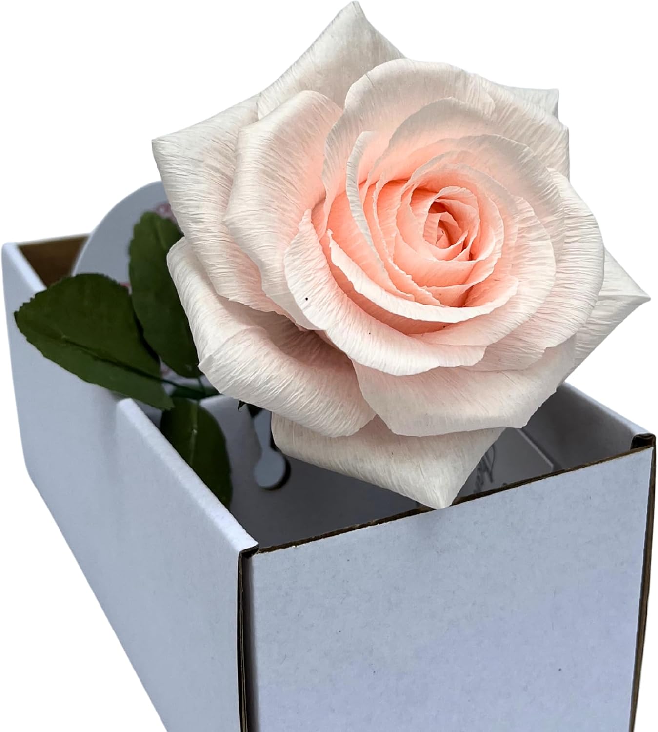 Paper Rose Gift