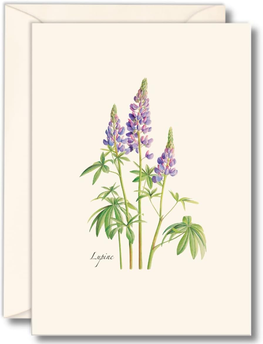 Lupine Flowers Note Cards (set of 8)
