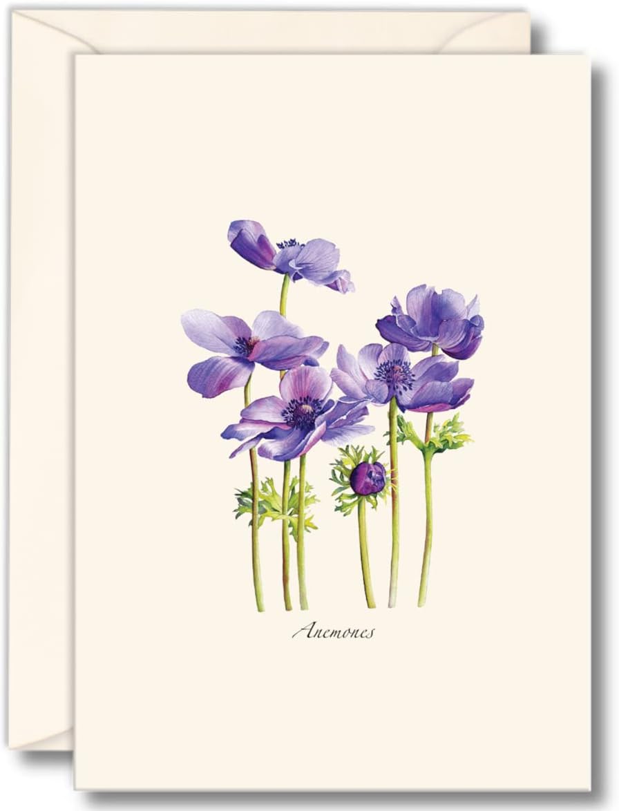 Box of 8 Anemone Note Cards