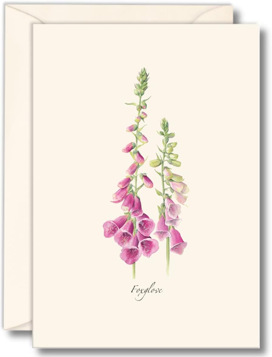 Foxglove Boxed Note Cards