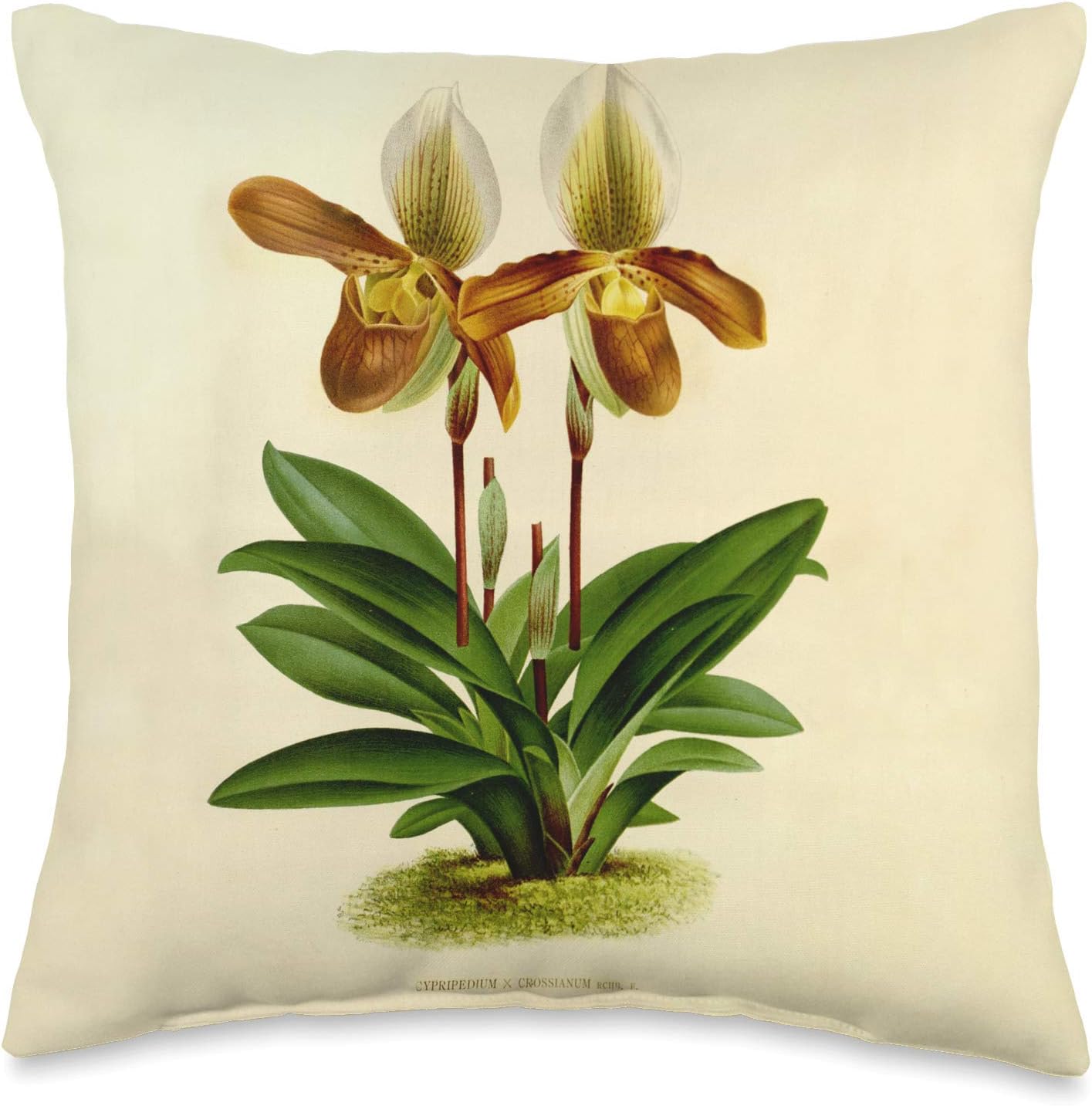 Lady Slipper Flower Throw Pillow