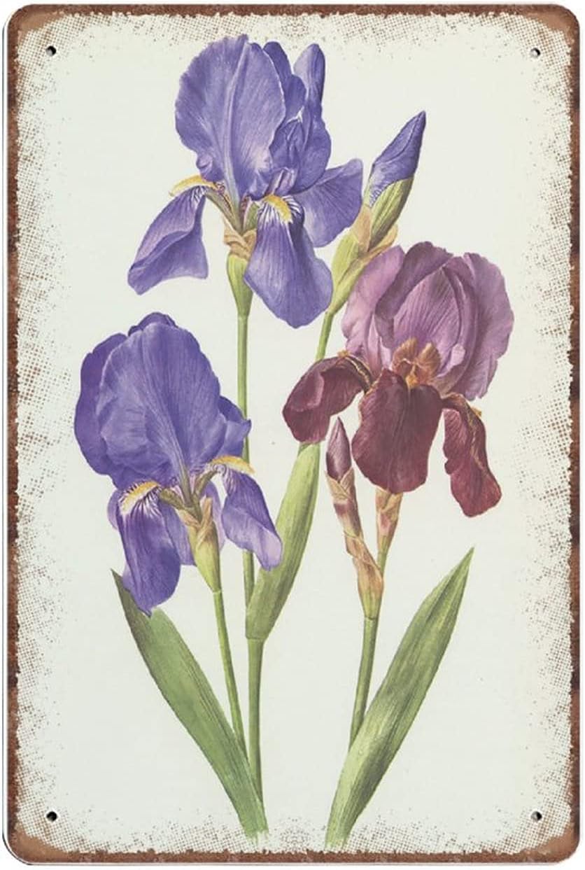 Vintage Iris Flowers on a Tin Sign
