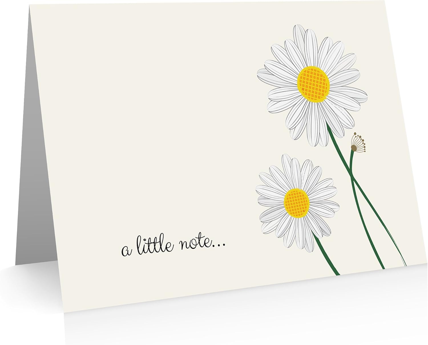 24 Pack of Daisy  Note Cards