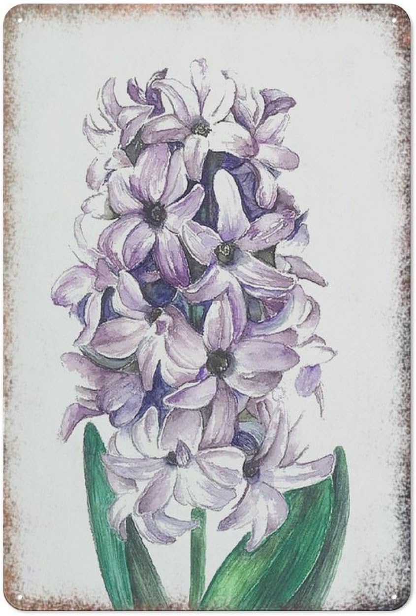 Purple Hyacinth Flower Metal Sign