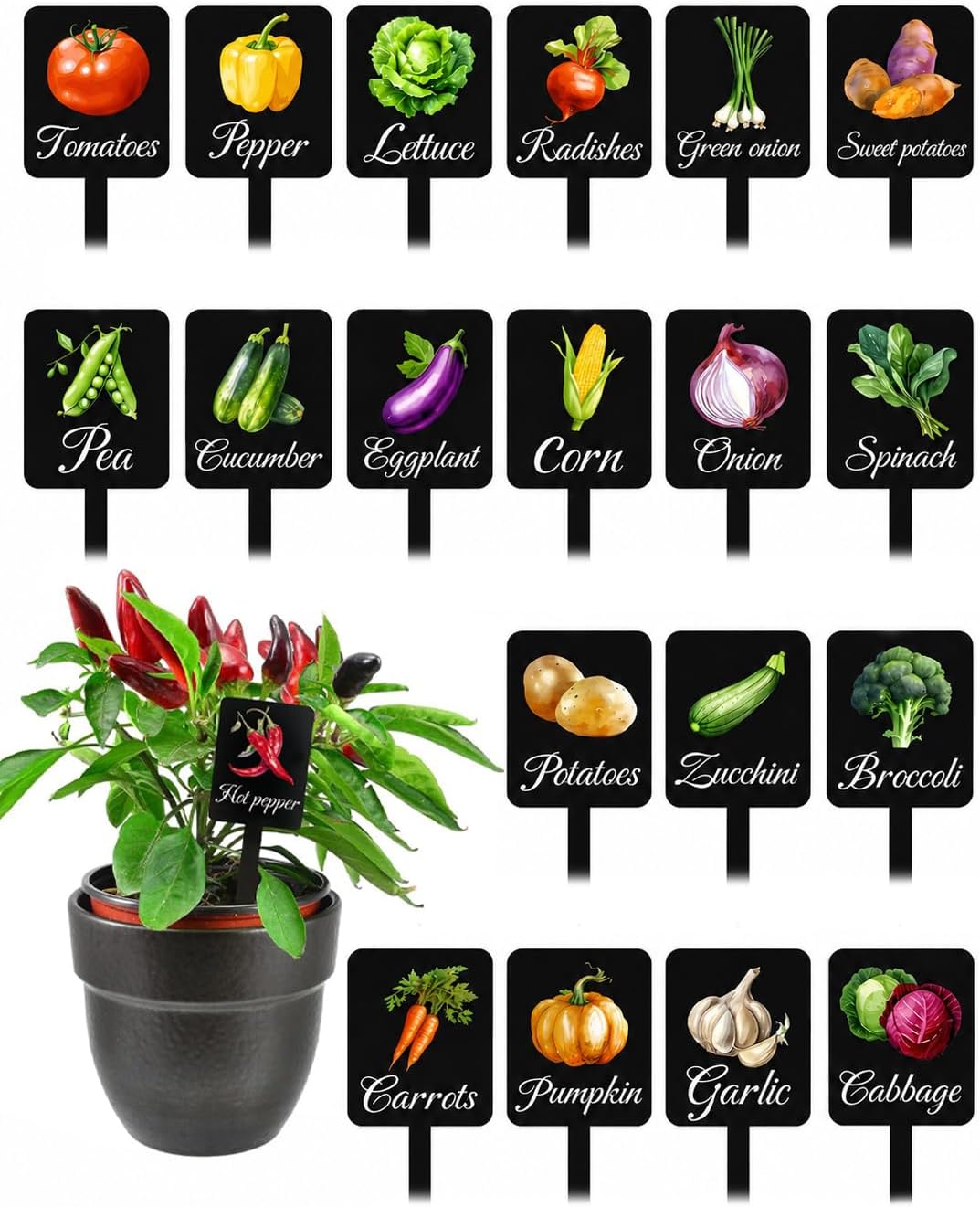 20Pcs Garden Signs for Vegetables 20 Styles Garden Markers
