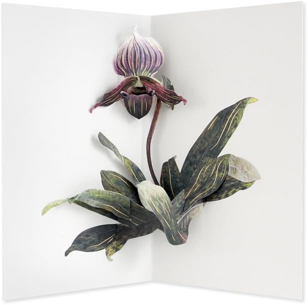 Lady Slipper Popup Greeting Card