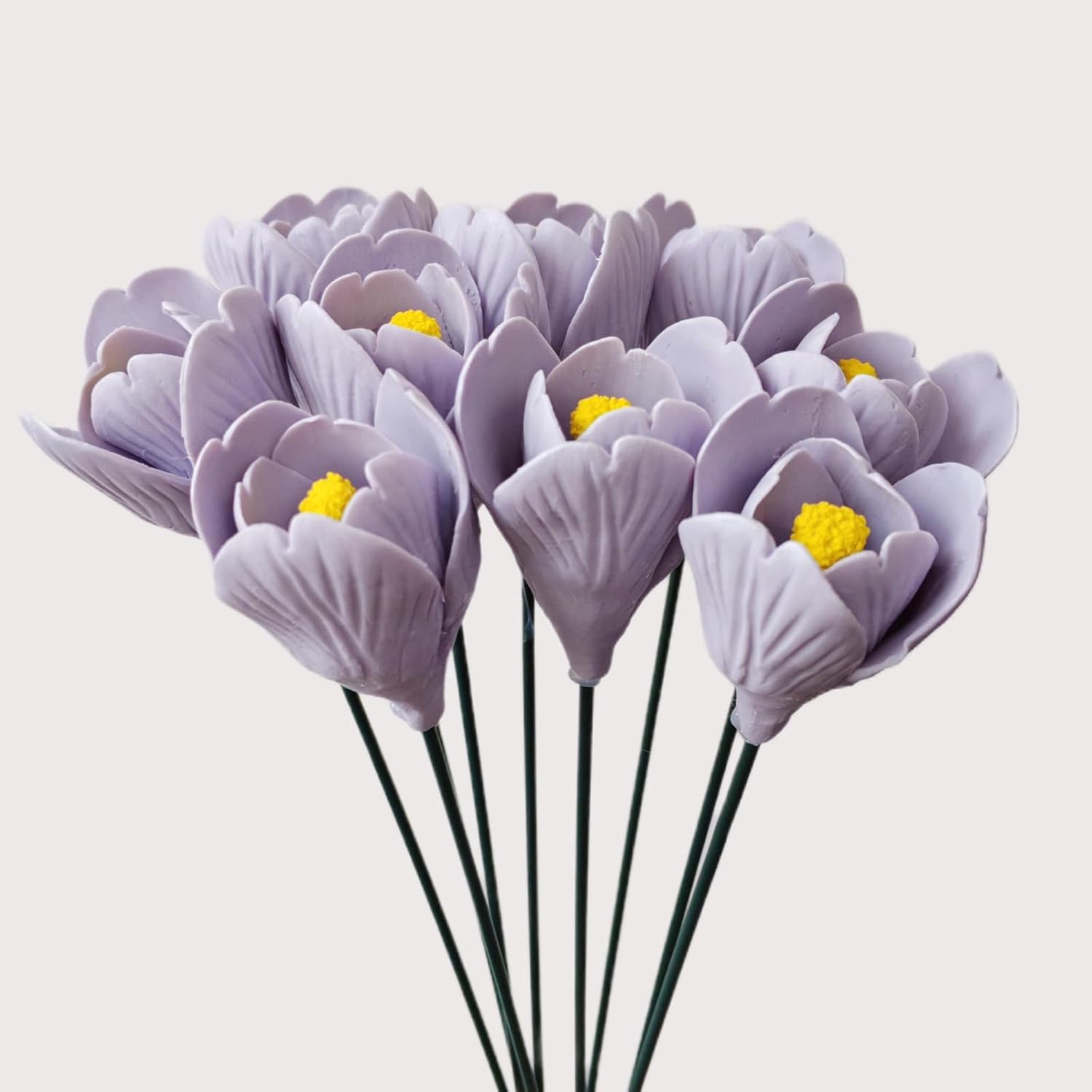 Ceramic Crocus Flowers