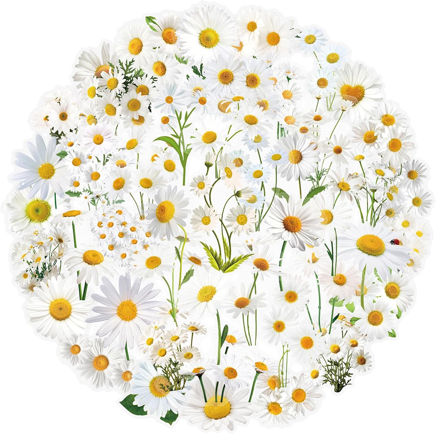 50 pcs Daisy Stickers