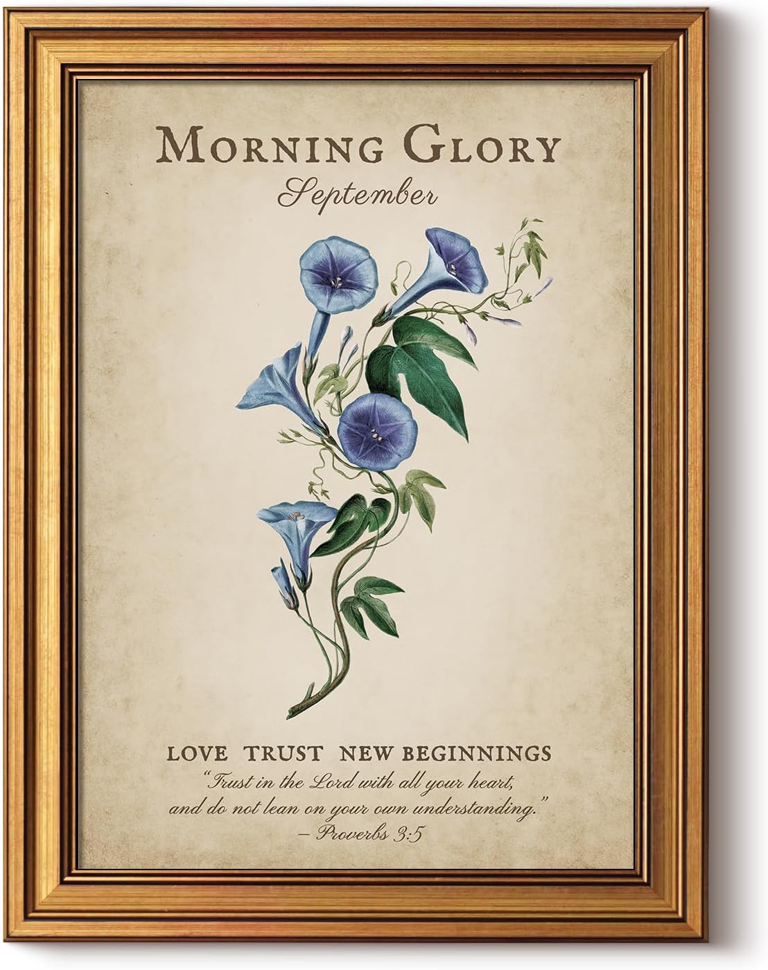 Framed Morning Glory Flower Poster Print Wall Art