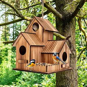 3 Hole Large Wooden Bird House