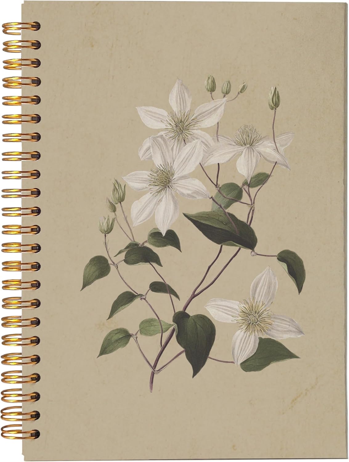 White Clematis Flower Notebook