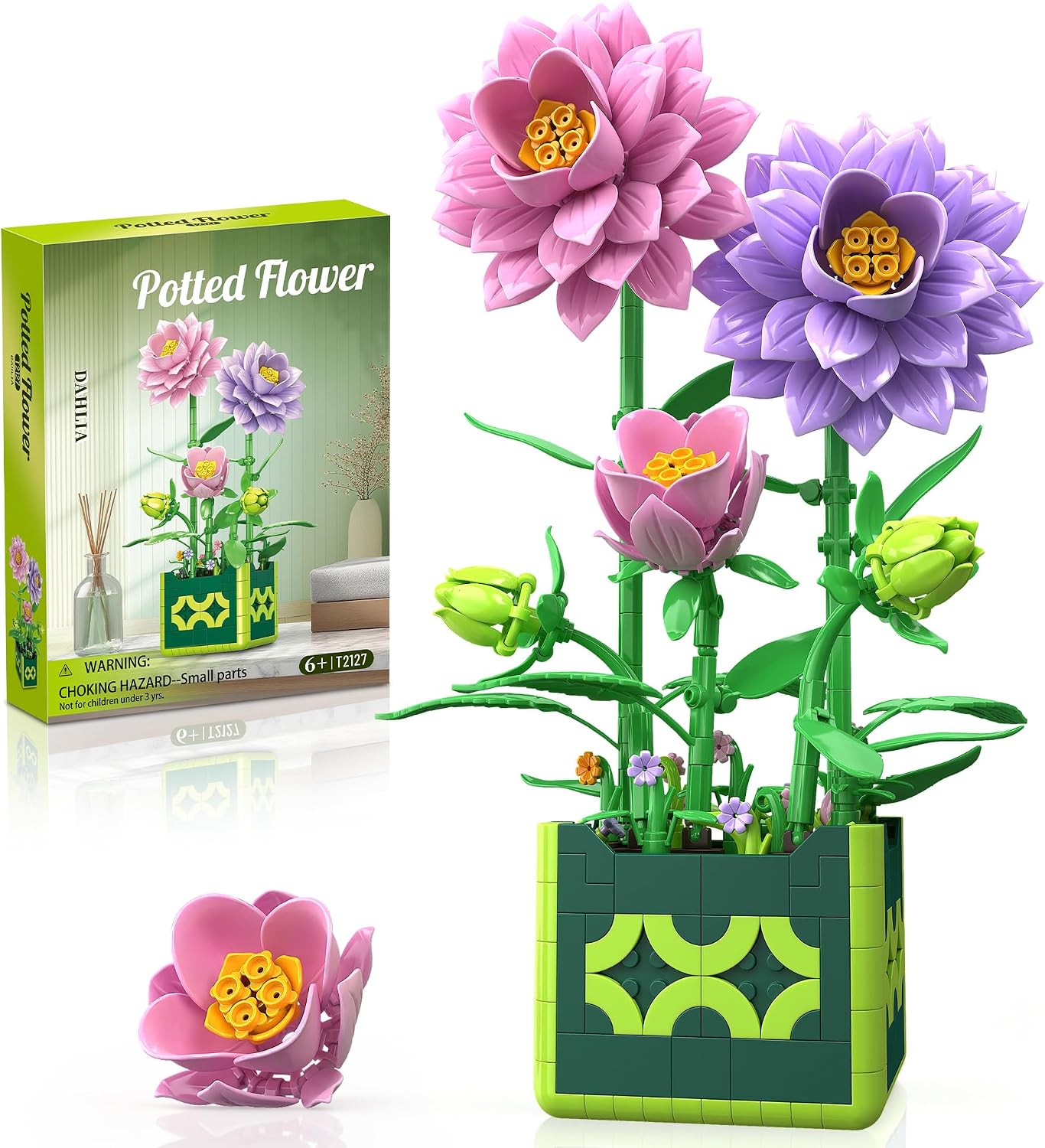 Dahlia  Building Blocks