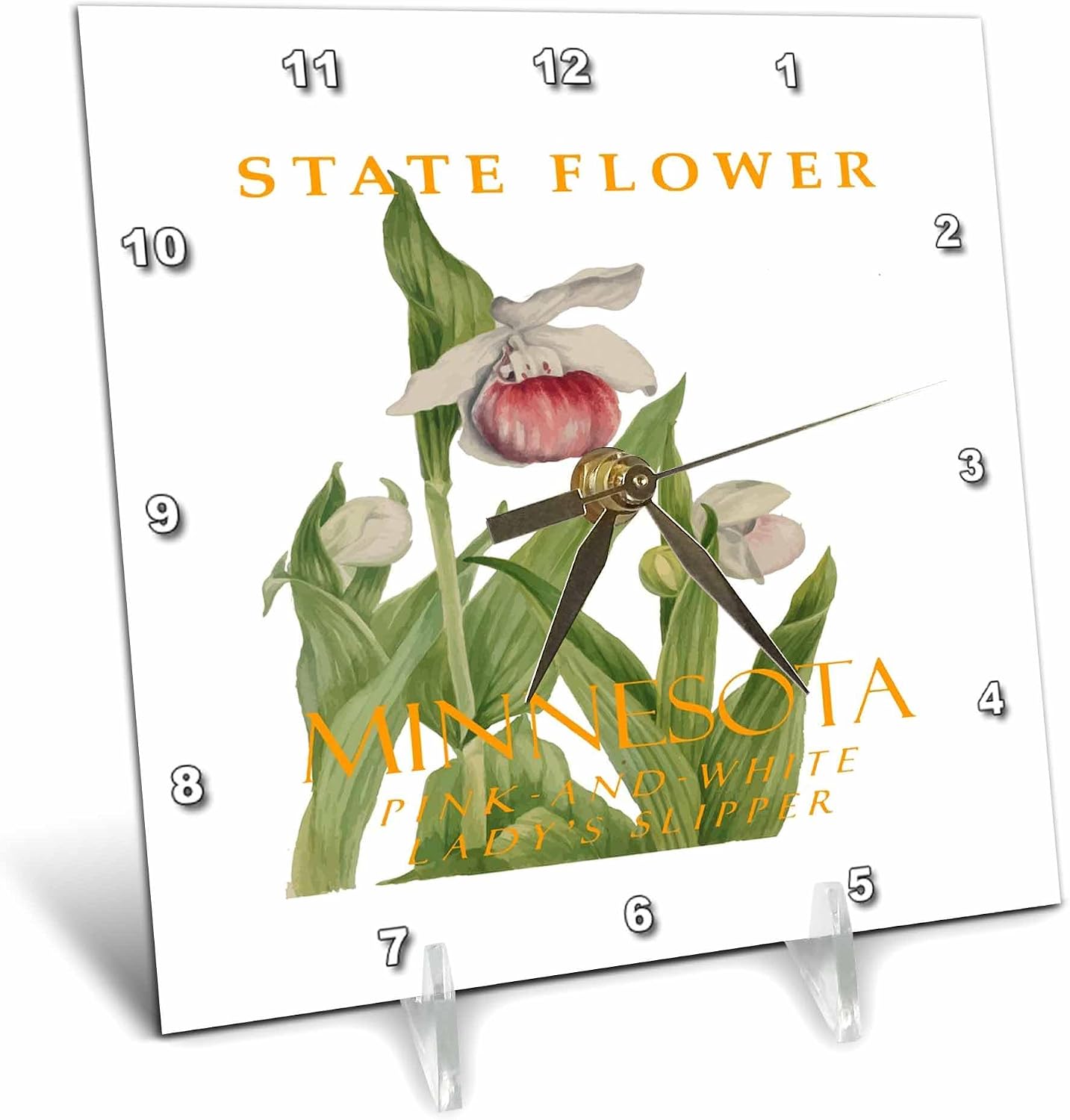 Minnesota Lady Slipper Wall Clock
