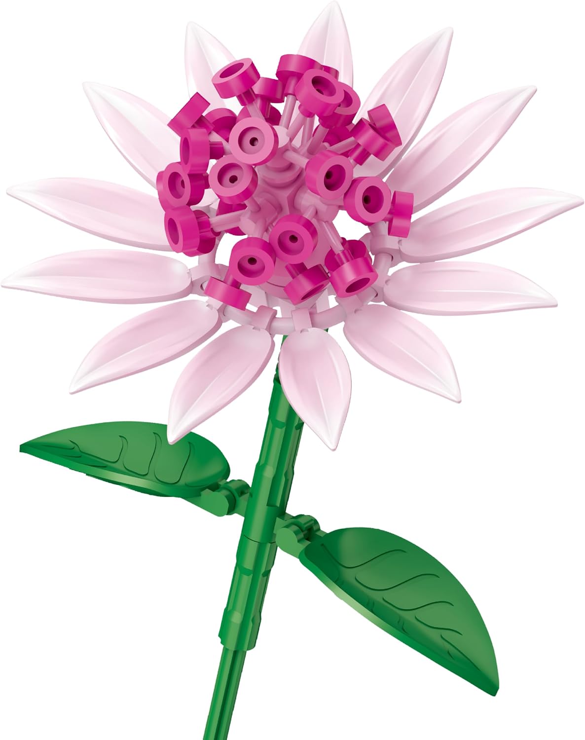 Astrantia Flower Building Blocks