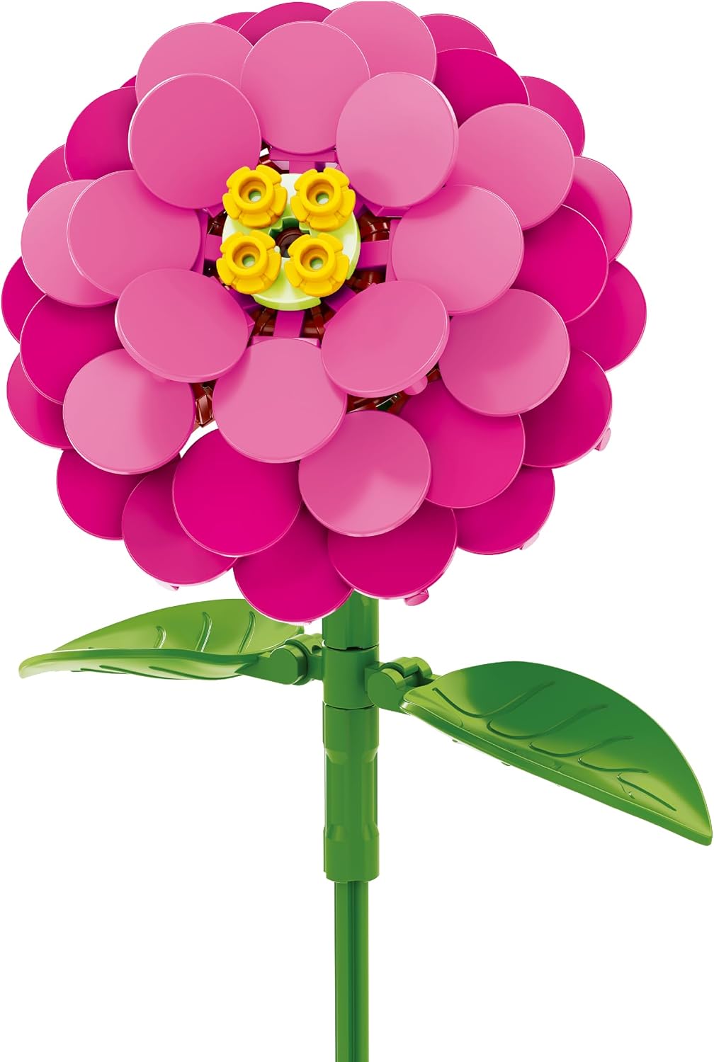 Zinnia Building Blocks