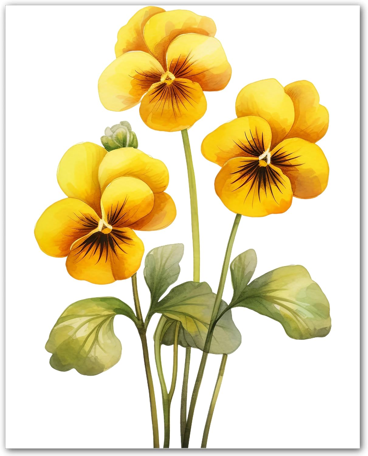Pansy Print