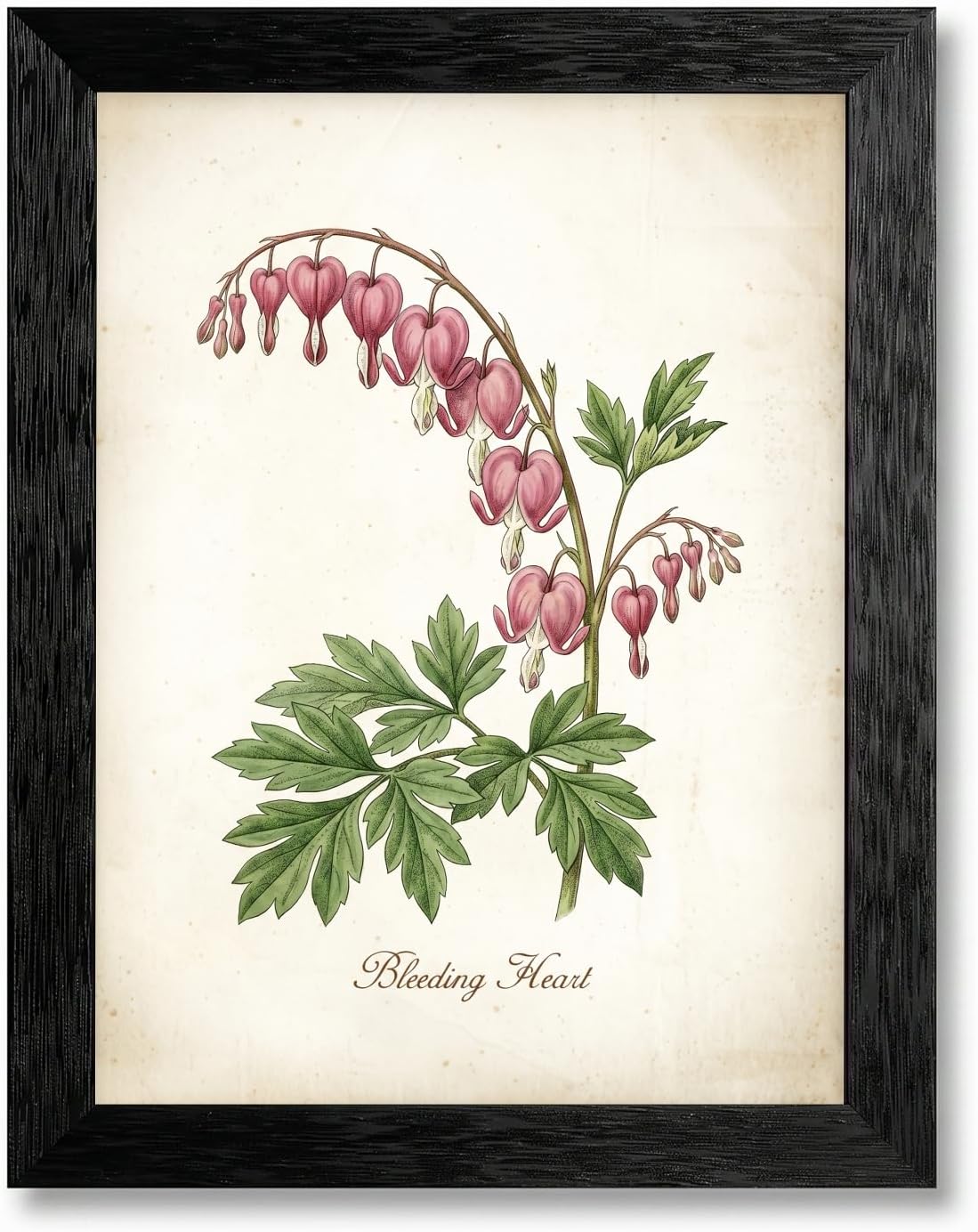 Framed Canvas Bleeding Heart Flower Wall Art