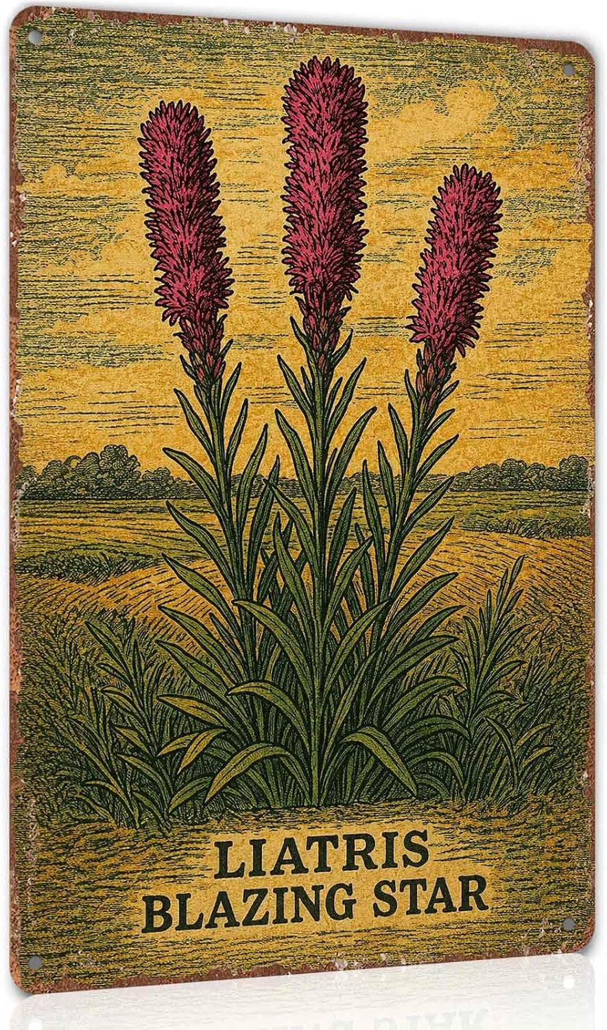 Liatris Flower Metal Sign