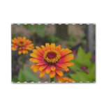 Pretty Orange Zinnia Post-it Notes