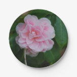 Pretty Pink Camelia Paper Plates
