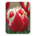 tulips-18.JPG Temporary Tattoos