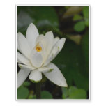 White Lotus Temporary Tattoos
