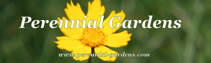 Perennial Gardens